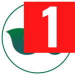circo2site.pages.dev favicon